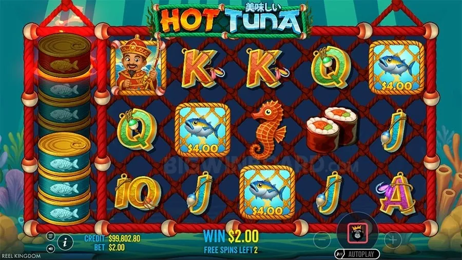 Beginner's Guide to Live Casino